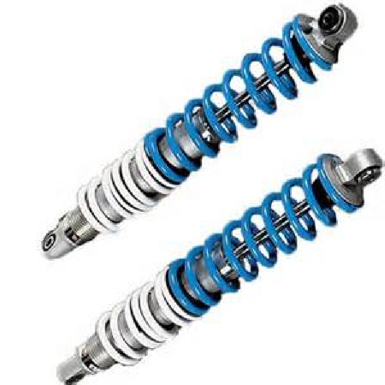 Works Performance shocks for Hodaka